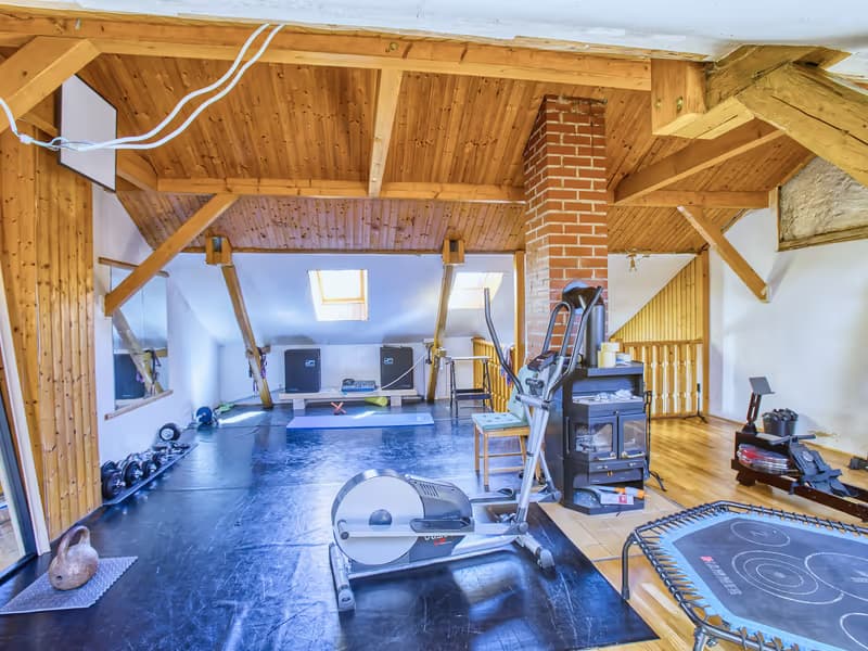 Zweite Perspektive des Fitnessraums im Wohnhaus in Gera - professionelle Immobilienfotografie in Gera
